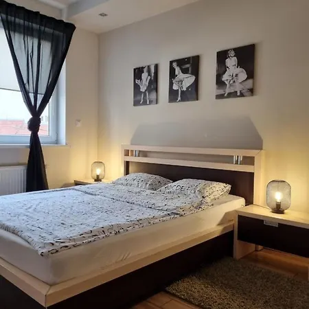 Apartament Exclusive Apartment